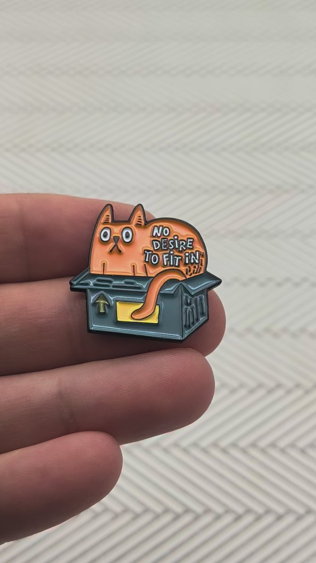 No Desire to Fit in Cat in Box Pin Video